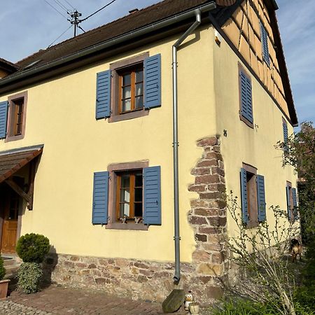 Gite La Maison De Jules Muntzenheim Экстерьер фото