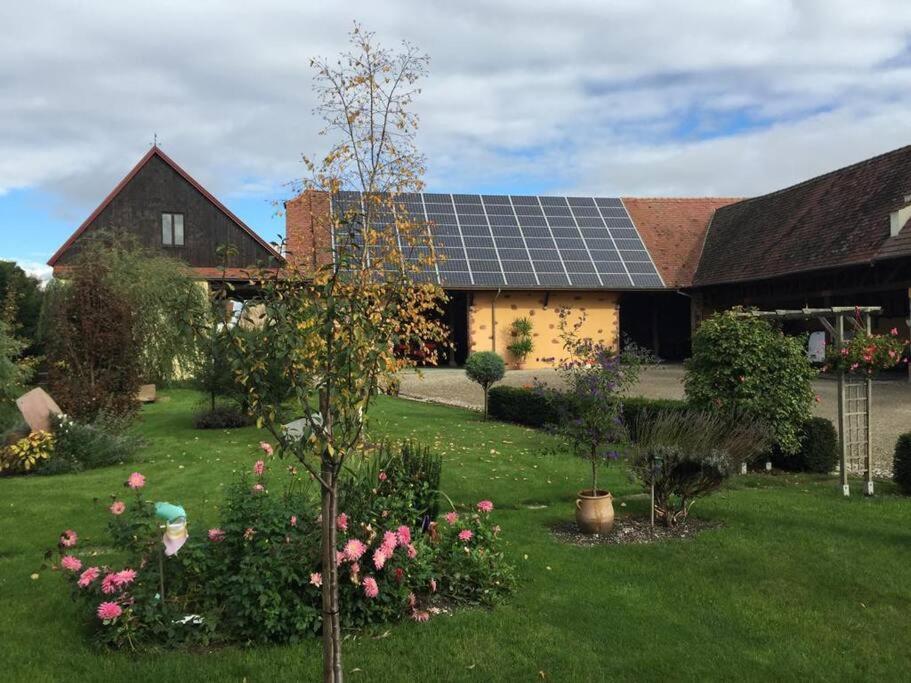 Gite La Maison De Jules Muntzenheim Экстерьер фото